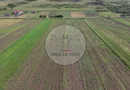 Teren 10.670 mp | Borșa Cluj | Front 38m | Utilități
