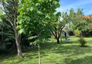 Casă elegantă, spațioasă, ideală pentru familie – Sanmihaiu Roman