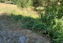 TEREN INTRAVILAN ÎN MARGA-LA DN68 JUD.CARAȘ-SEVERIN