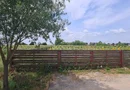 Balotesti str. Amurgului teren 5000 mp