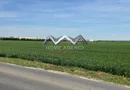 Teren 33.211 mp Tunari – ideal logistică, showroom sau producție