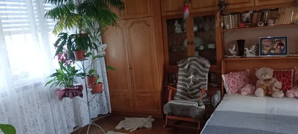 BRASADAS vinde ap 3 cam în casă - zona Botizului.