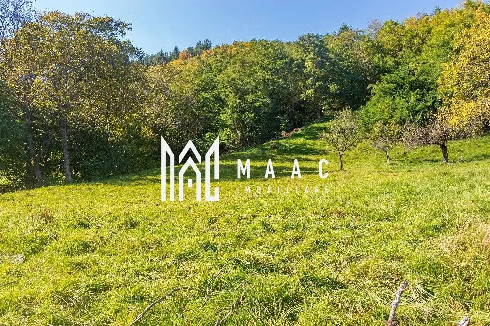 Teren | Intravilan | 2439 MPU | Fântânele