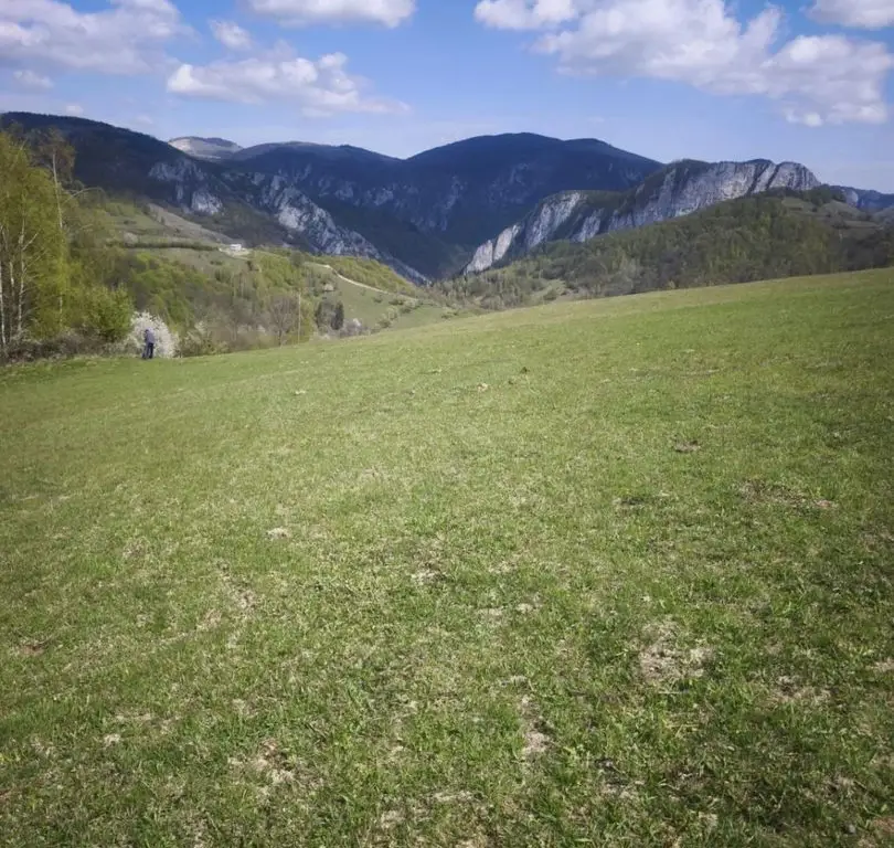 Teren de vânzare