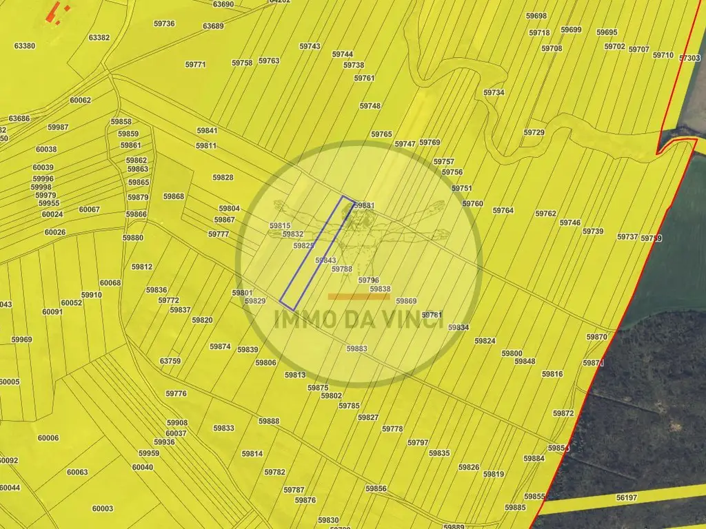 Pachet investitie terenuri Borșa Cluj 37.839 mp | 12.039 mp intravilan