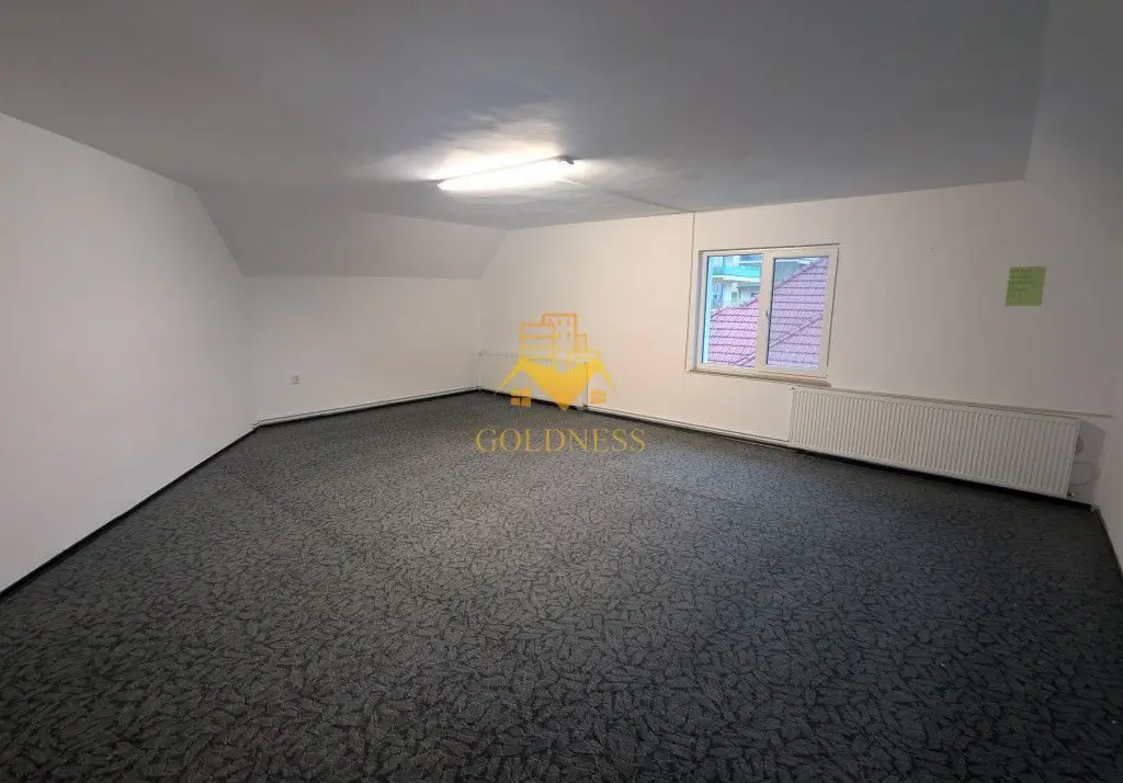 Casa/Spatiu de birou,Andrei Muresanu, 9 Camere,10 Parcari,Curte 2000mp