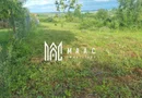 Teren intravilan de vânzare Daia Nouă | 1000 mp | Ideal pentru construcție
