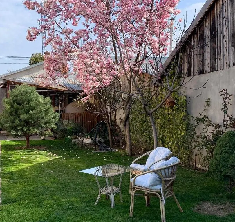 Vand  casa curte  + teren + SPATIU COMERCIAL