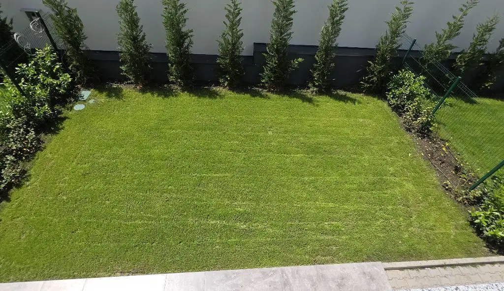 Giulesti duplex P+1 4 camere de vanzare