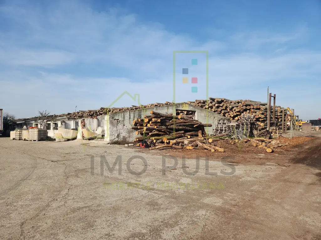 Teren Industrial langa balta in Sacalaz. Curent de inalta tensiune