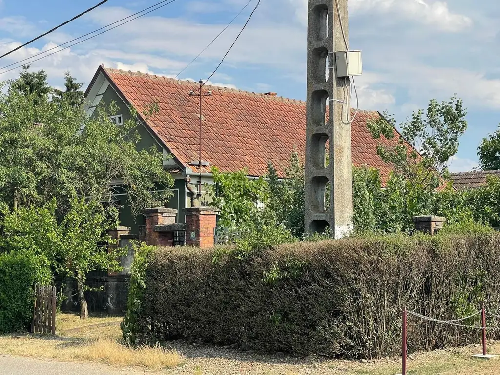 Vindem casă tradițională in sat Sabolciu,central, 4500 mp- 76.000 euro