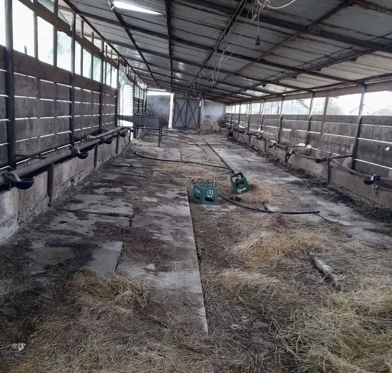 Vand casa cu grajd si teren in Satu Mare Com Craidorolot Jud Satu Mare 2