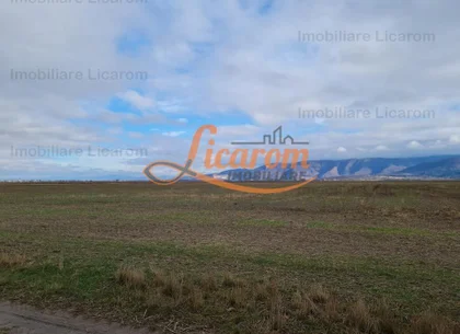 Teren extravilan 2,9 HA,intre Cristian si Vulcan