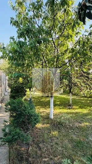 Două Case de Vânzare | Calea Bogdăneștilor |Tramvai în Fața Imobilului
