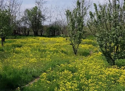Teren 2.600 mp, utilități, Str. Merișor – Giurgiu