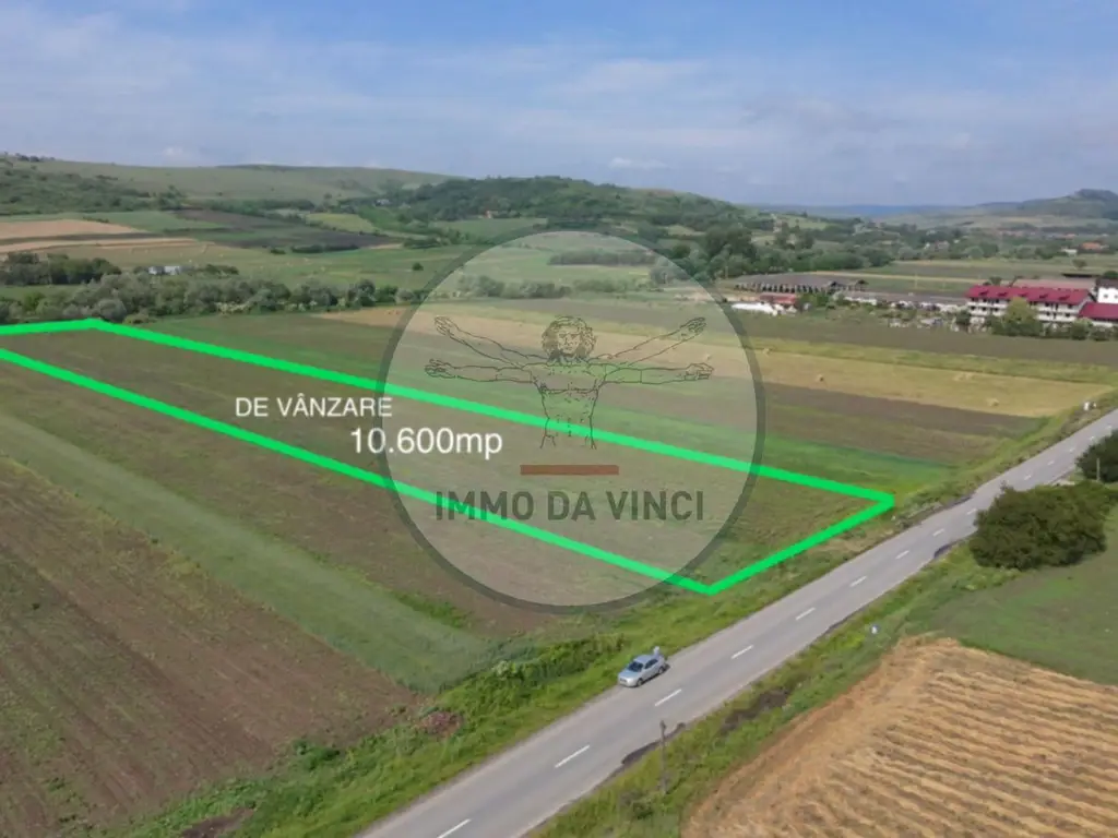 Teren 10.670 mp | Borșa Cluj | Front 38m | Utilități