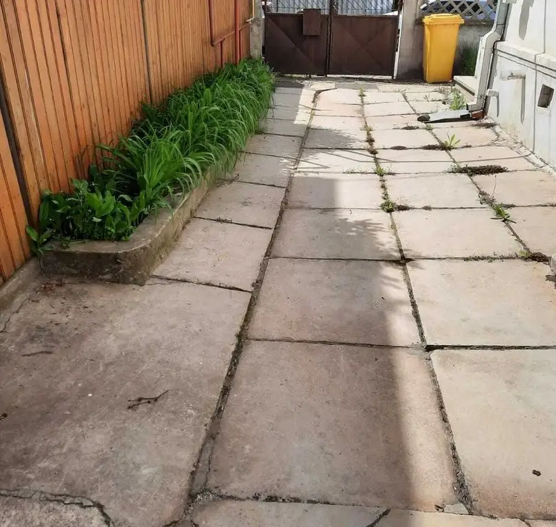 Vilă de vânzare București