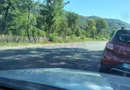 TEREN INTRAVILAN ZĂVOI\ZONA VALEA BISTREI, JUD.C-S