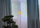 1 camera, Zorilor, UMF, USAMV, UTCN, Observatorului, Premium