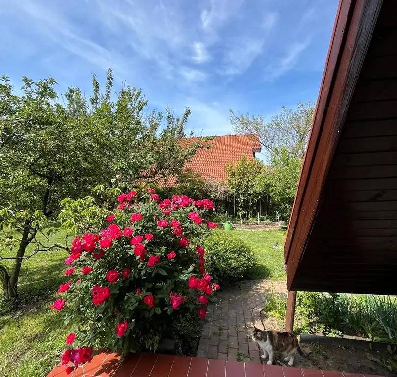 Casă elegantă, spațioasă, ideală pentru familie – Sanmihaiu Roman