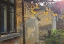 Vand 2case parter şi teren 985mp sau parteneriat construire zona Foişorul de Foc