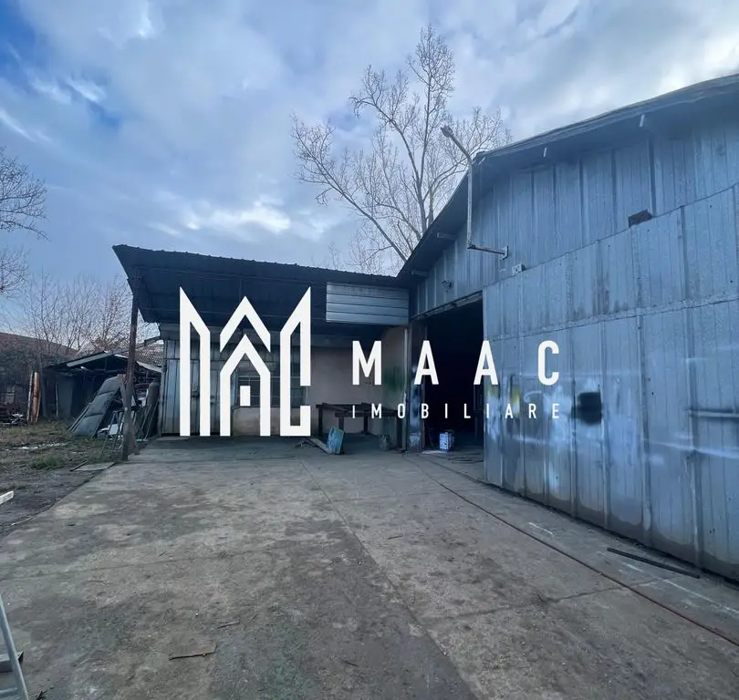 Hala | 380 MP | Teren 800 MP