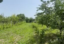 Vând teren intravilan, Str Dealului 64 - 936 mp,front stradal 13.4 m