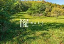 Teren | Intravilan | 2439 MPU | Fântânele