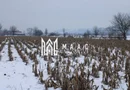 Fermă agricola funcțională de vanzare I Vurpar