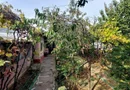 Proprietar casa individuala Bucurestii Noi-Aeromodelului- FARA AGENTII