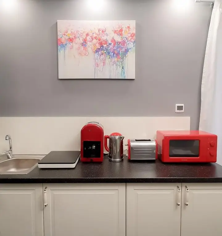 Universitate apartament 5 camere 220 mp de inchiriat