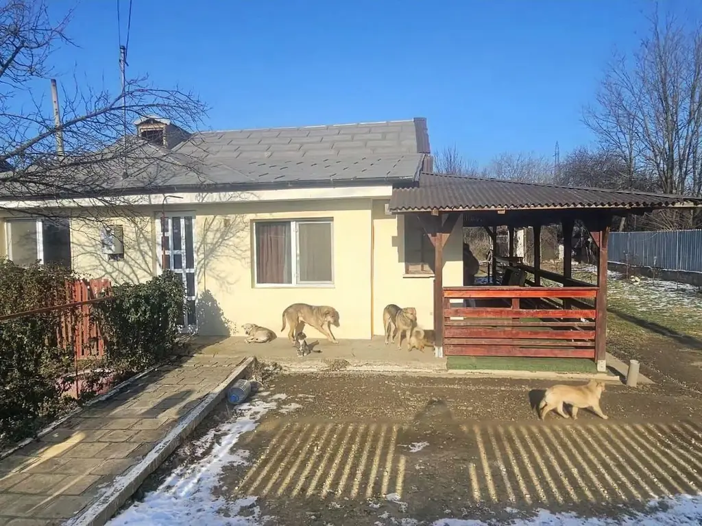 Casa cu 3 camere + 900 mp teren proprietate -Sendreni, jud. Galati