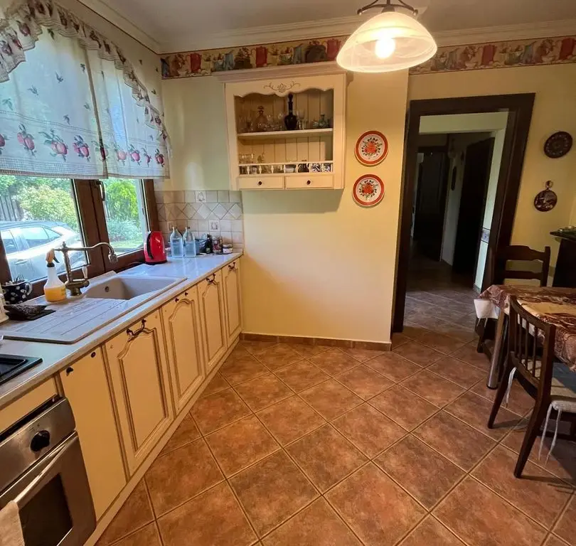 Casă elegantă, spațioasă, ideală pentru familie – Sanmihaiu Roman