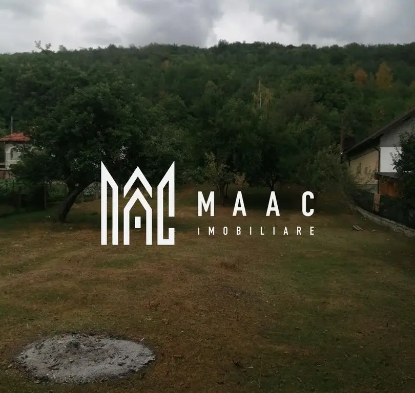 Teren Intravilan 10.000 mp | Livadă + Pădure de salcâm | Bărbătești