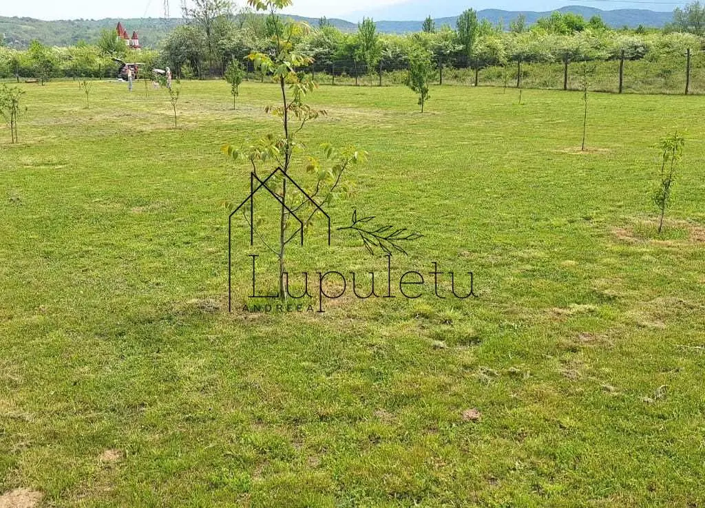 Teren Extravilan | 2.000 MPU | Intabulat | Zonă liniștită