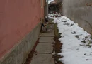 BRASADAS vinde casa 2 cam cu intrare comuna zona CENTRALA.