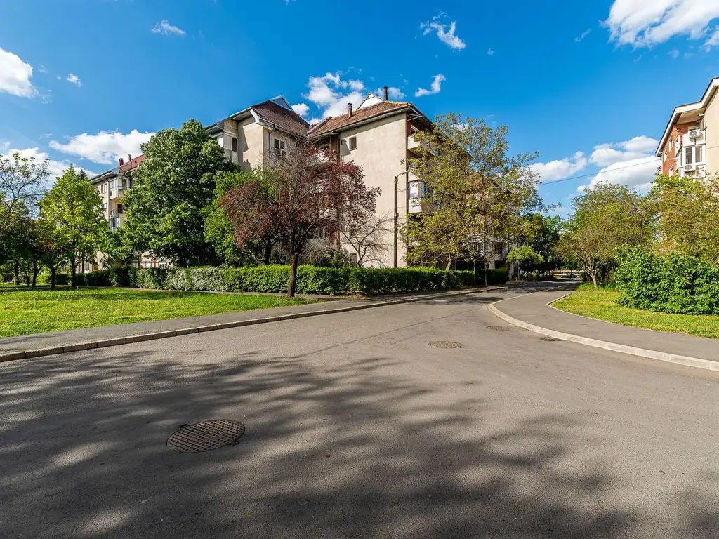 Apartament 3 camere Micalaca 300. Vedere superbă spre Mureș