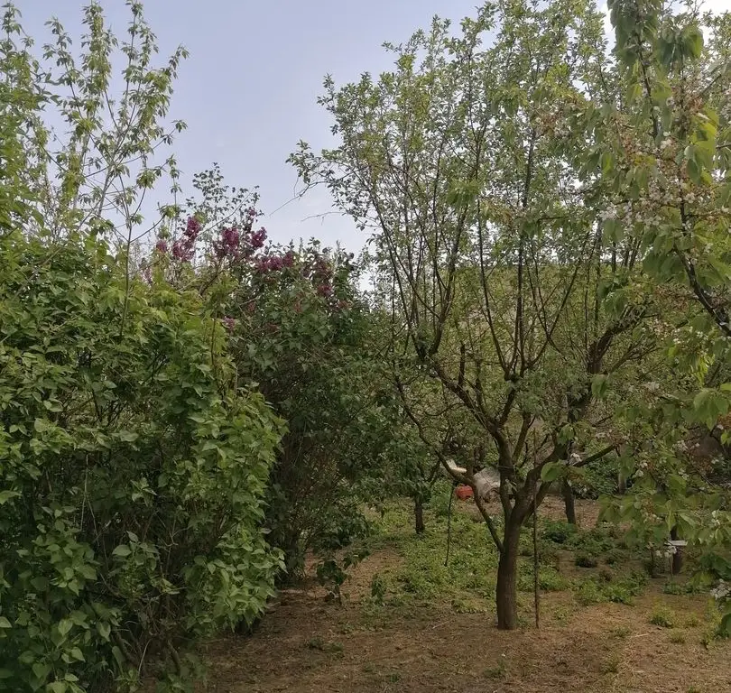 Ag EUROPA vinde casa 6 cam teren 11 ari în zona 14 Mai.
