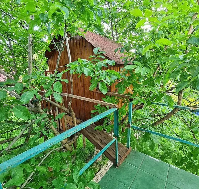 Buftea Centru – Teren 1807 mp + 2 case – Direct proprietar