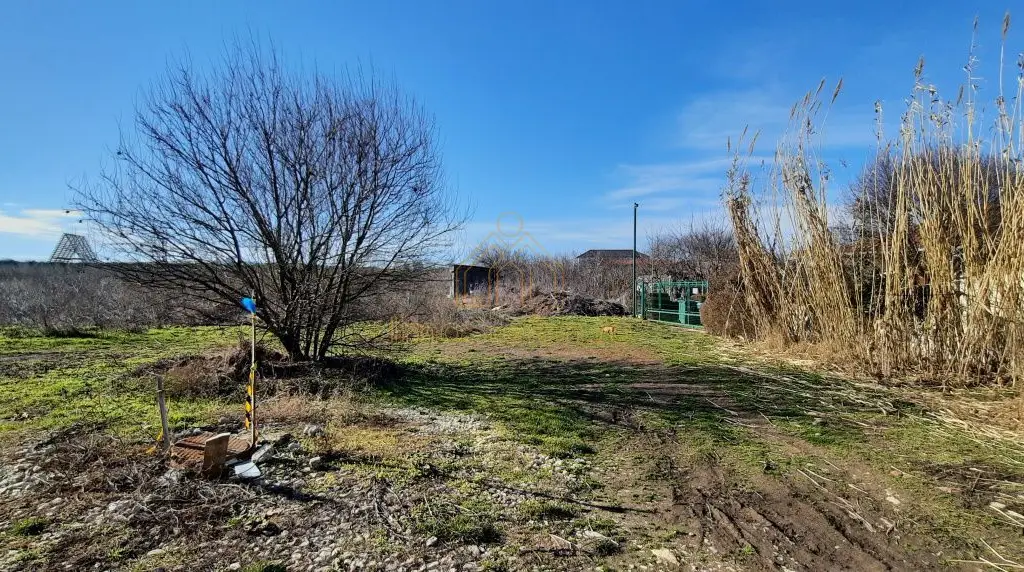Teren Intravilan Vama Veche | 7.495 mp | Oportunitate Investiție