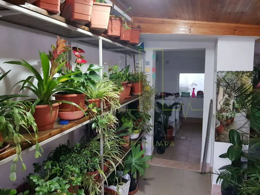 Casa individuala in oras. Zona linistita.
