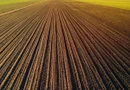 Investiție Agricolă Operațională, Fermă Completă de 730 ha în Nord-Est