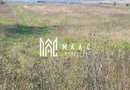 Teren Intravilan | 3.900 Mp Talmaciu |