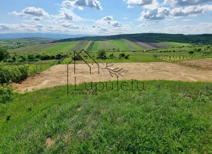 Teren Extravilan de Vânzare – 2.500 mp | Hamba | Zonă în Dezvoltare