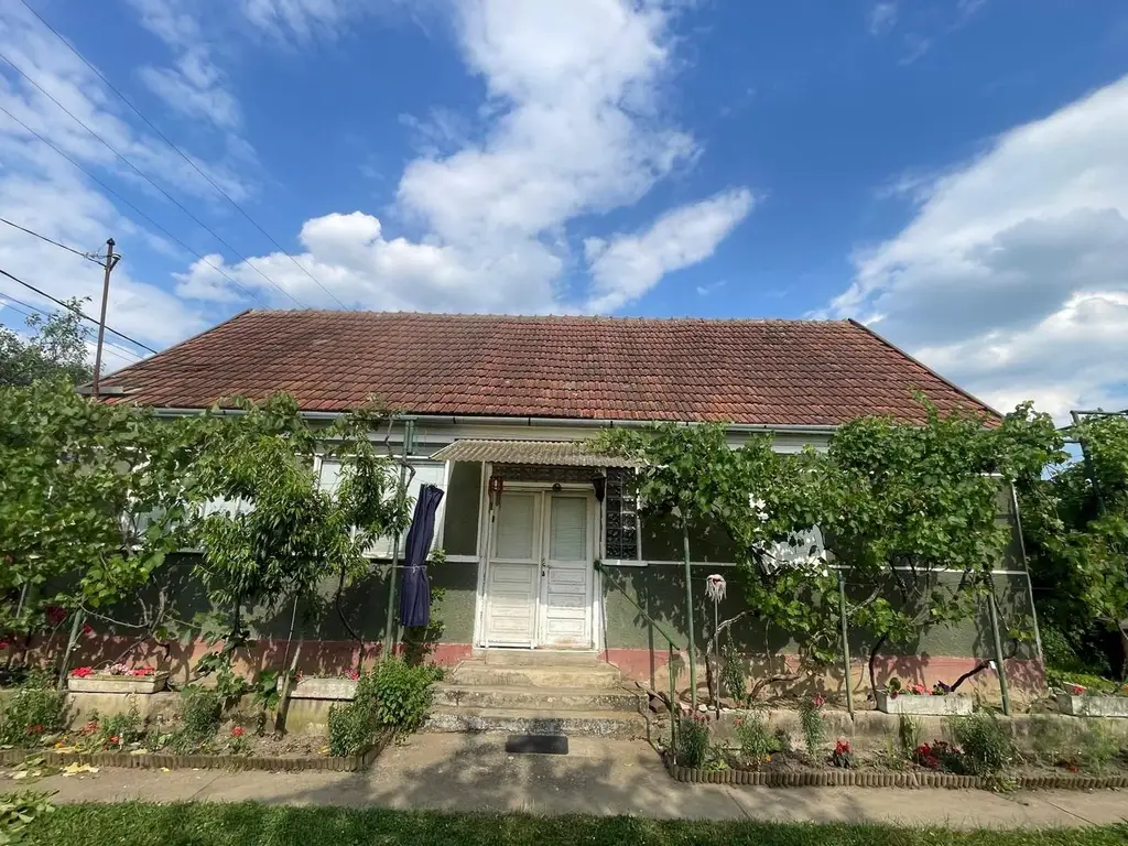Vindem casă tradițională in sat Sabolciu,central, 4500 mp- 76.000 euro