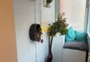 3 Camere Openspace, Parcare, Grigorescu, Fantanele,Somes,Petfriendly