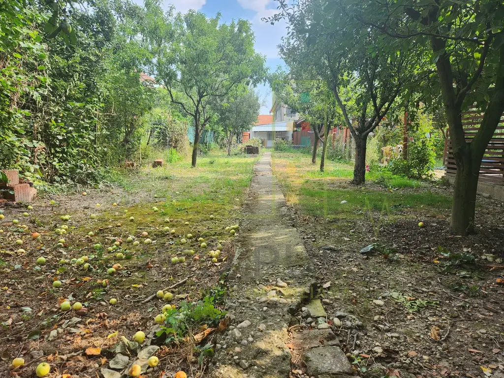 Apartament cu curte. Teren 636 mp.