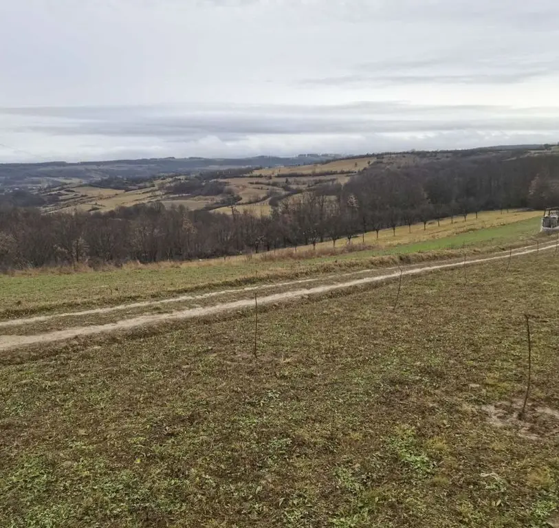 Teren cu o priveliste superba langa padure