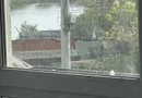 Vind casa singur curta nou o+1 , zona tei