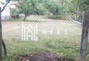 Teren Intravilan 10.000 mp | Livadă + Pădure de salcâm | Bărbătești